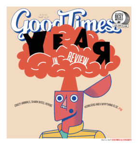 Good Times Santa Cruz Cover