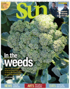 Santa Maria Sun Cover