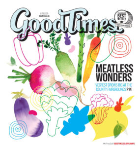 Good Times Santa Cruz Cover