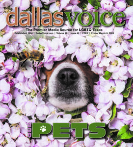 Dallas Voice Cover