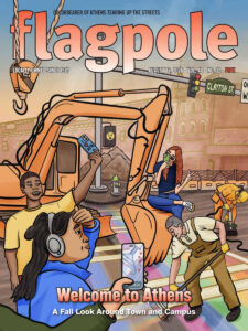 Flagpole Cover