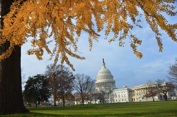 Read more about the article D.C. Braces for AAN Writers and Designers Workshop, Nov. 15-17